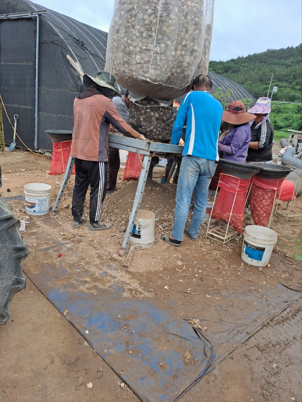 editor_image