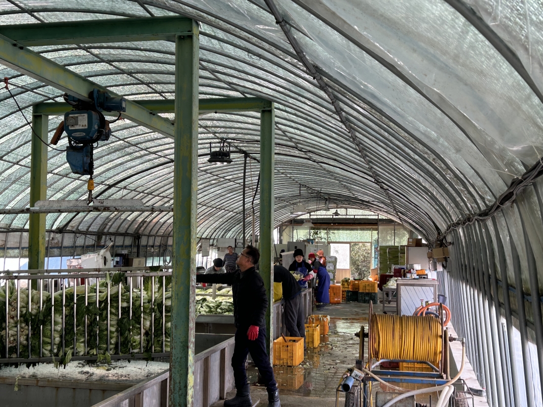 해남 화산면 이경임농가 작업 현장